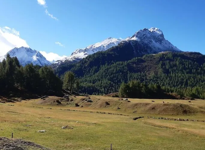 Lovely 3 Bedroom Apt.